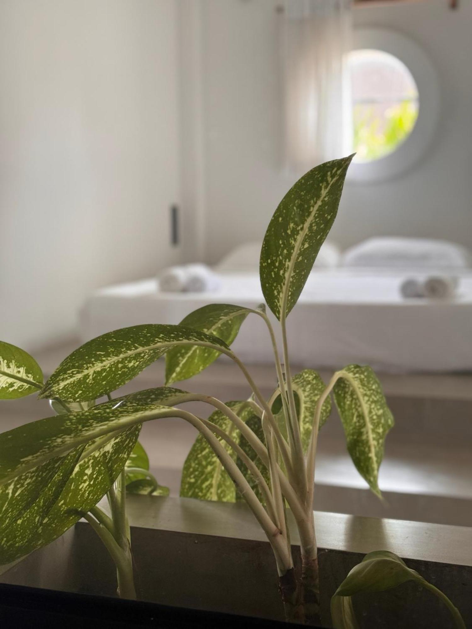 Loft Ahangama Exteriér fotografie
